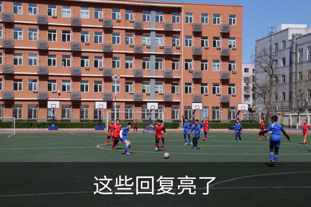 这些回复亮了