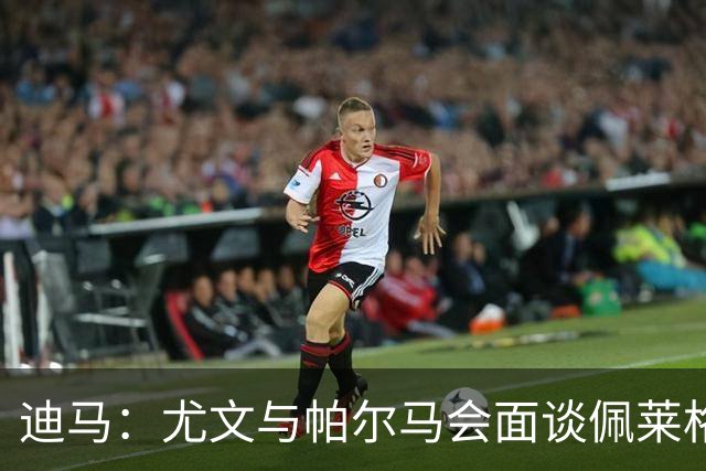 迪马：尤文与帕尔马会面谈佩莱格里诺，可能租借＋有条件强制买断